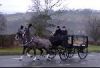 Robert Harrison & Sons